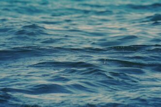 slovenian sea