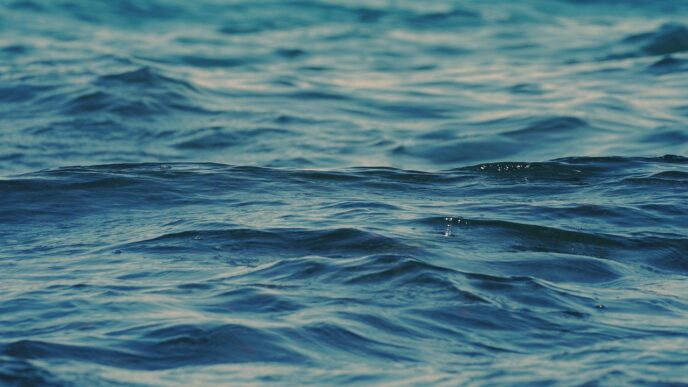 slovenian sea