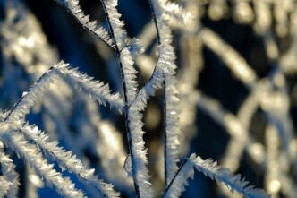 cold