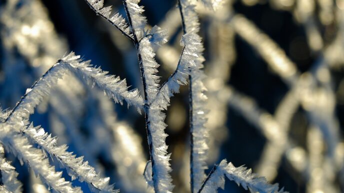 cold