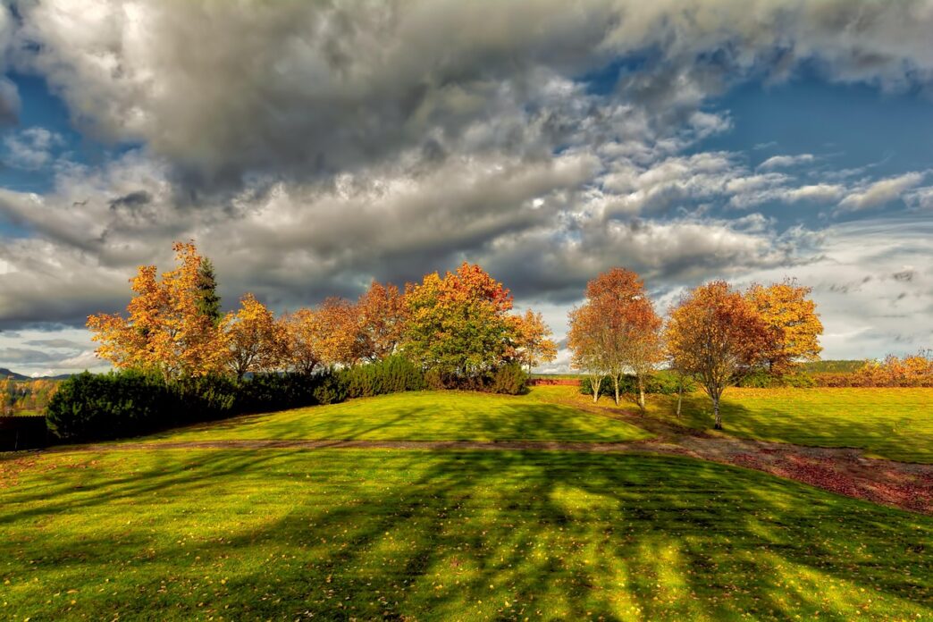 autum 1