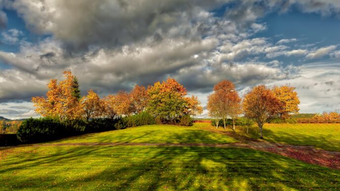 autum 1