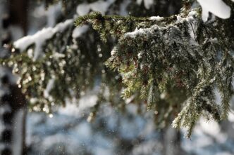 snowing