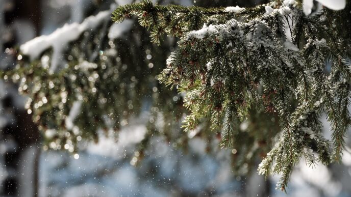 snowing