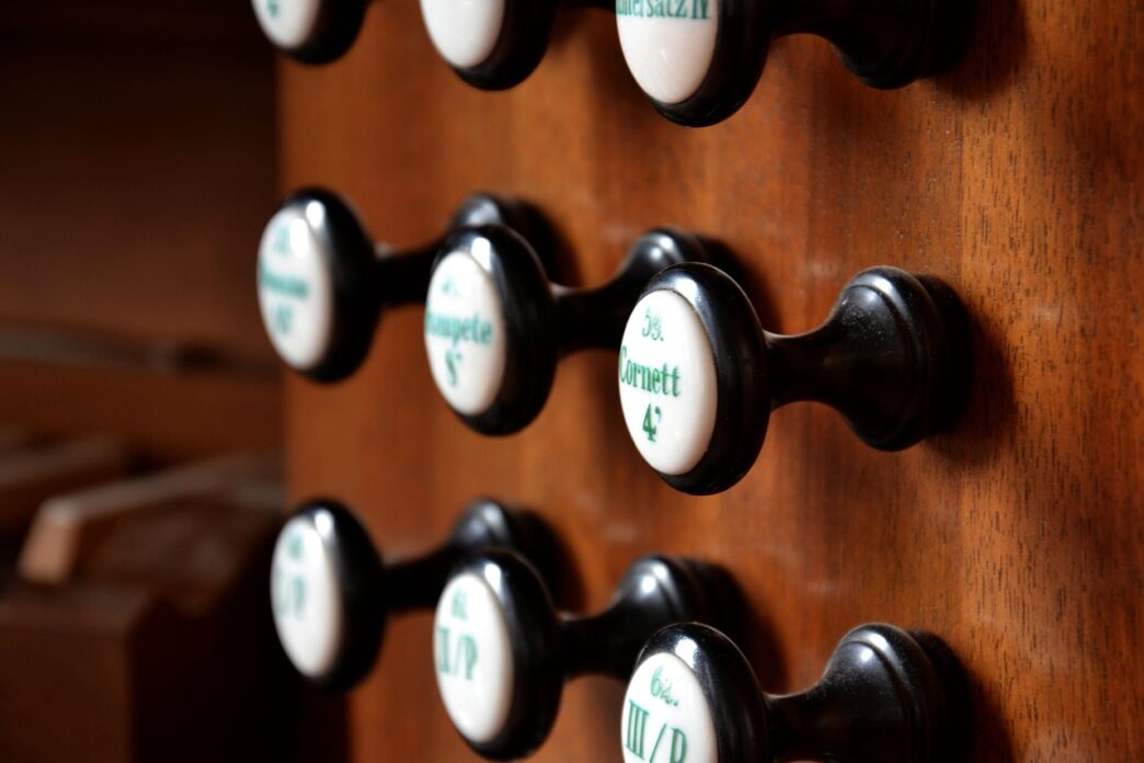 the organ
