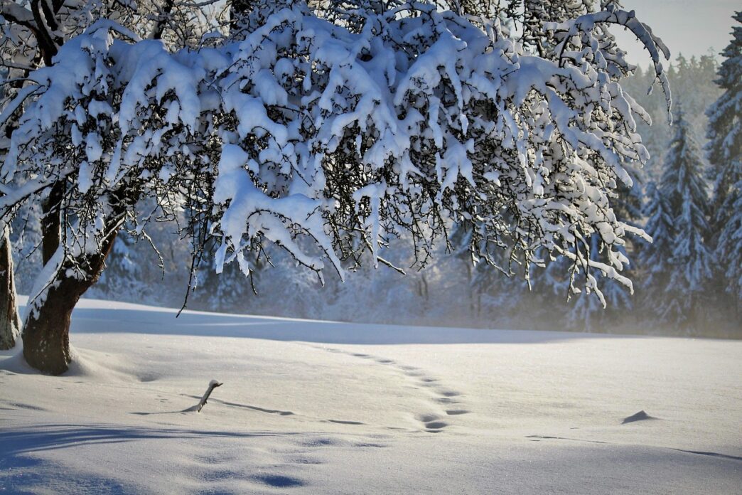 snow