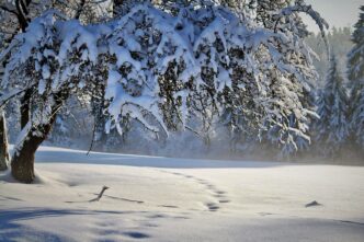snow