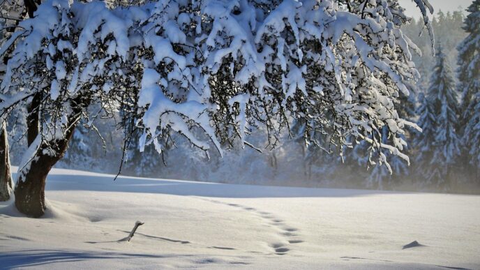 snow