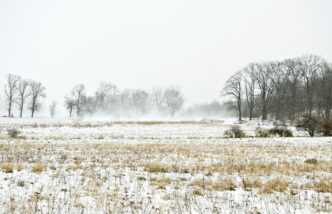 snow and wind
