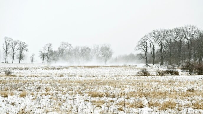 snow and wind