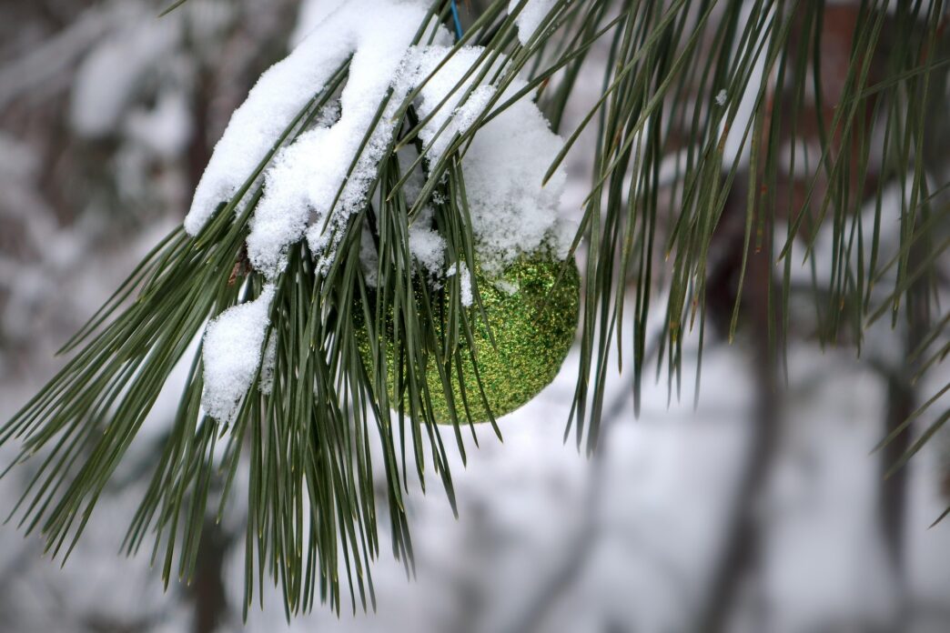 christmas tree 6911411 1920