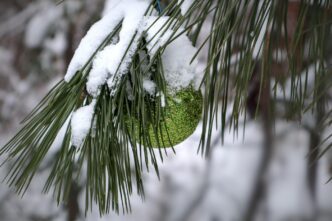 christmas tree 6911411 1920