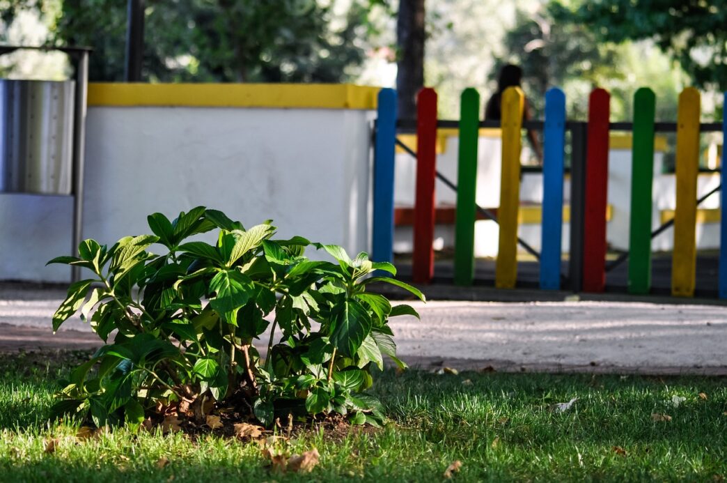 kindergarten
