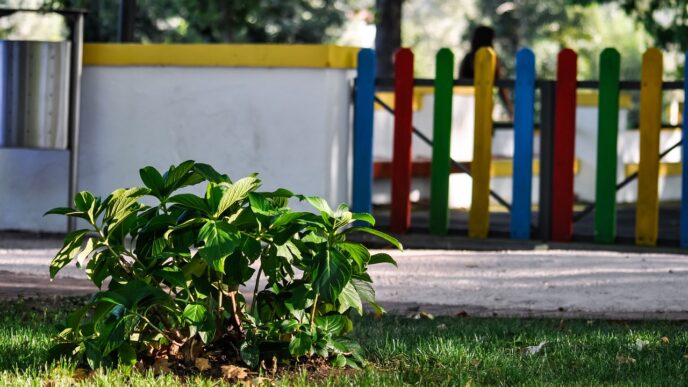 kindergarten