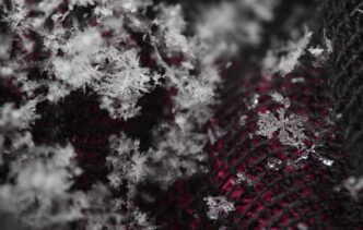 snowflakes