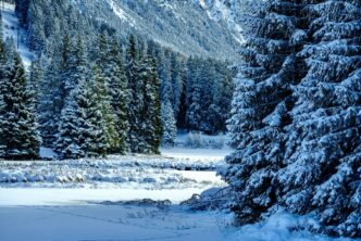 snow 1