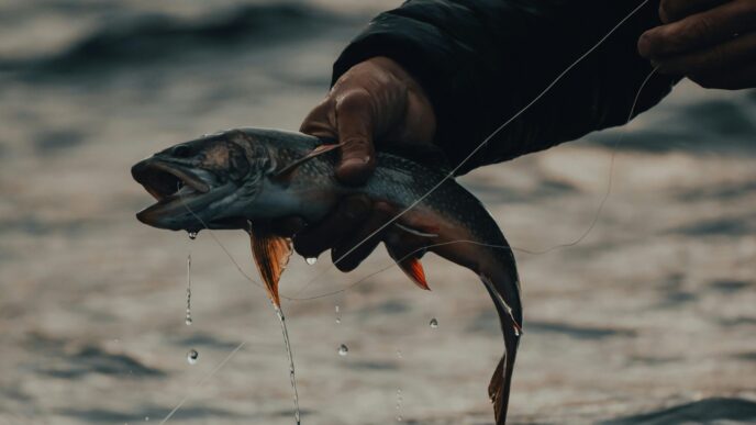 riba na trnku scaled e1774419455891