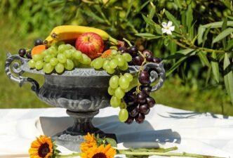 fruits and weg