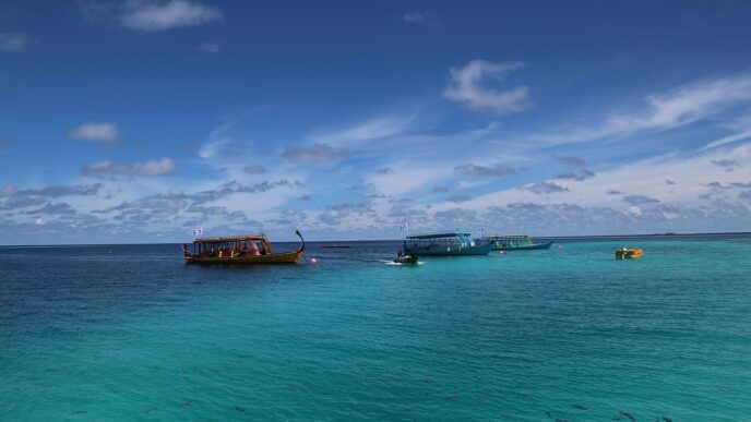 maldives diving