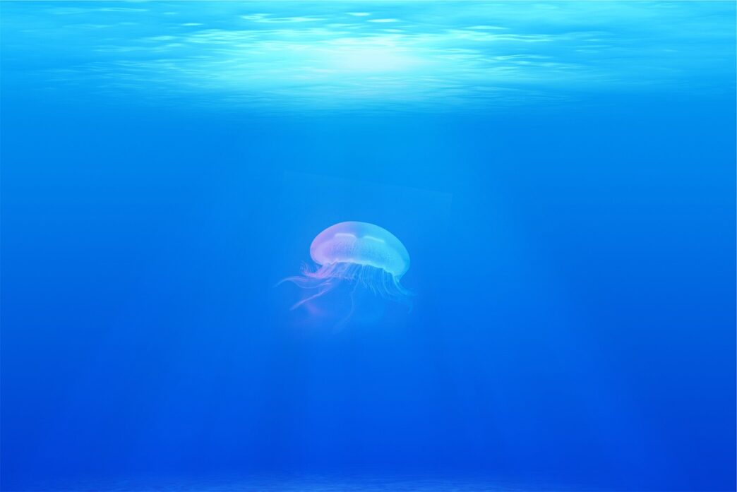sea