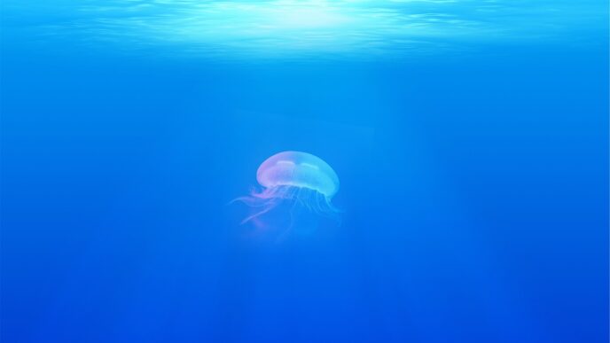 sea