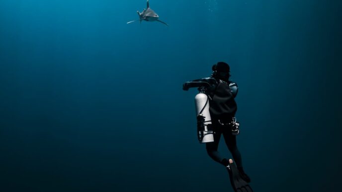 shark