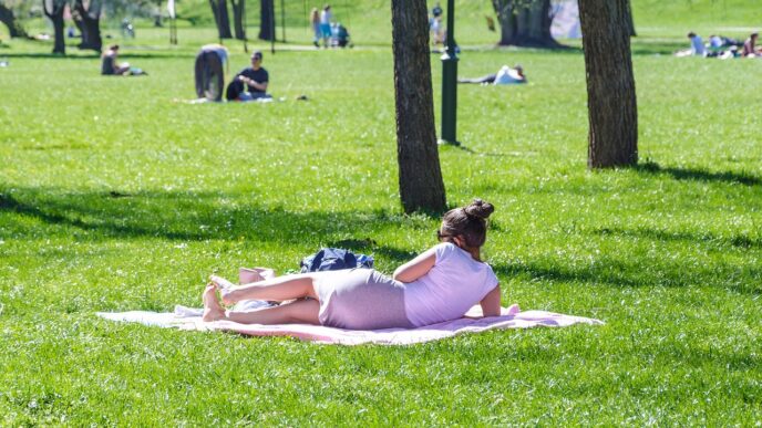 people in the sun
