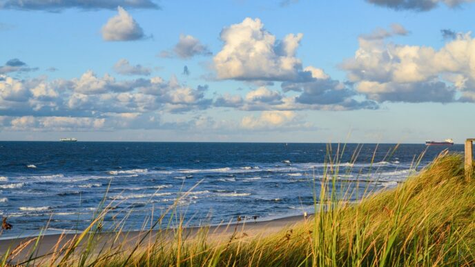 sea beach
