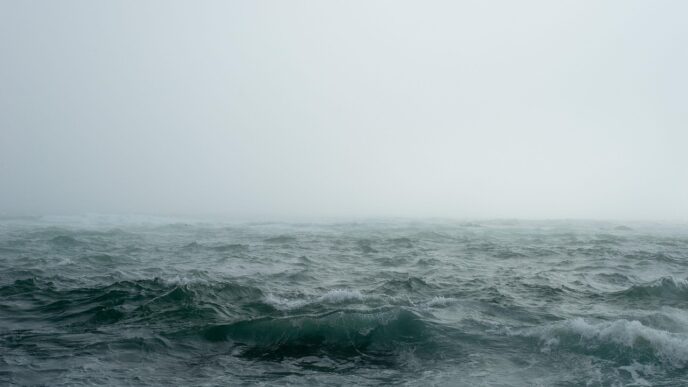 sea bouth